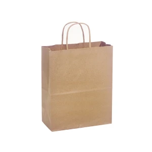 10 x 6.5 x 13 Paper Bag with Twisted Handle (250/Case)